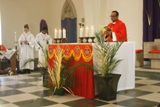 Palm Sunday of the Passion of the Lord