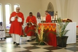 Palm Sunday of the Passion of the Lord