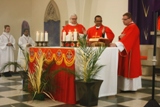 Palm Sunday of the Passion of the Lord