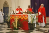 Palm Sunday of the Passion of the Lord