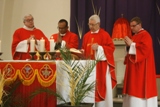 Palm Sunday of the Passion of the Lord